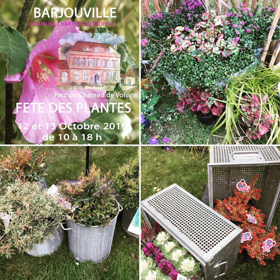 Fete des plantes de barjouville