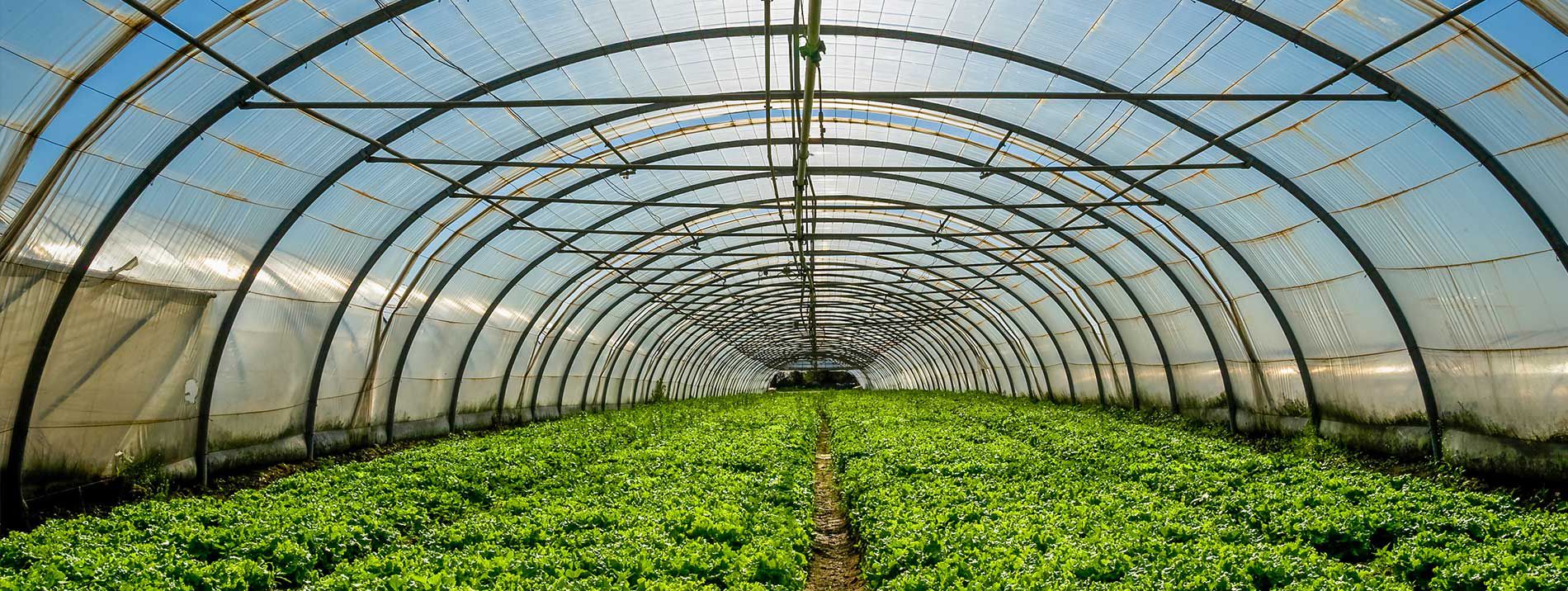 Les Jardins de Lutz Crespin